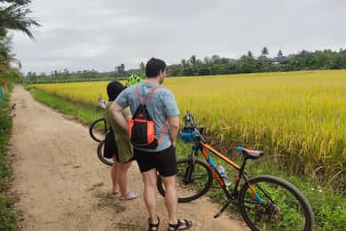 Chiang Mai: Sticky Waterfalls, Blue Pink Temple, and Cycling