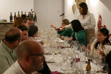 Cordoba: Degustare oarbă de vinuri cu asociere de Tapas