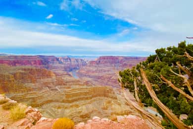 Excursão ao Grand Canyon do Colorado em espanhol - Tour VIP