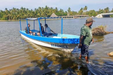 -Private Turtle Release Lagoon Boat Ride &High Divers Exprce