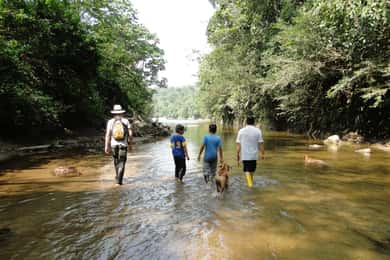 360° Day Tour Jungle Tour Expedition Amazonia Ecuador