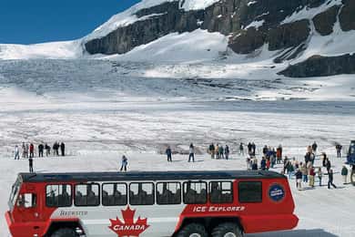 Columbia icefield, Skywalk, Waterfowl, Bow & Peyto Lake Tour
