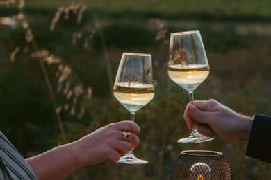 Castelsardo : visite d'un vignoble avec dégustation de vin au coucher du soleil