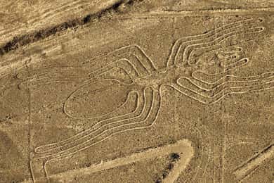 Da Nazca: Volo con piccolo aereo sopra le Linee di Nazca