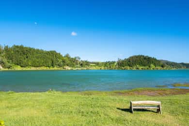 Hela dagen: Furnas, teplantager och mer med lunch