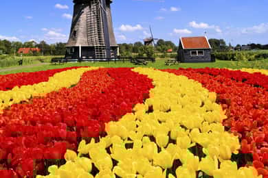 Amsterdam: Private Keukenhof and Free Tulip Tour