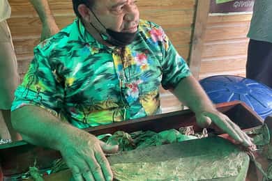 Viagem de 1 dia com tudo incluído a partir de Punta Cana: Imersão na cultura da RD