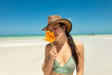 From Cancun & Playa del Carrmen: Discover the Best of Holbox