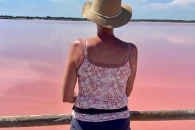 Desde Montpellier: Tour guiado por la Camarga y las Salinas