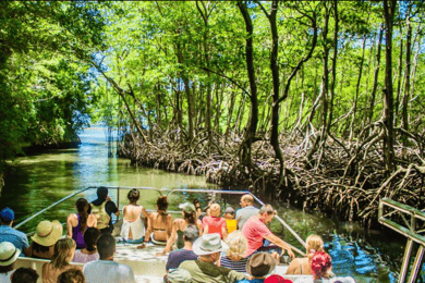 Punta Cana: Ganztagestour durch den Nationalpark Los Haitises
