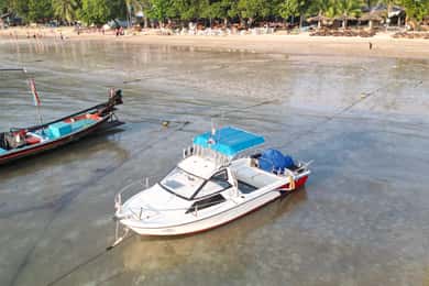 Koh Tao: Privat speedbåds-snorkeltur