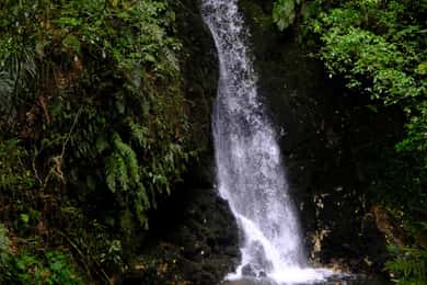 Tauranga: Kiwifruit Destination and Sights Shore Excursion