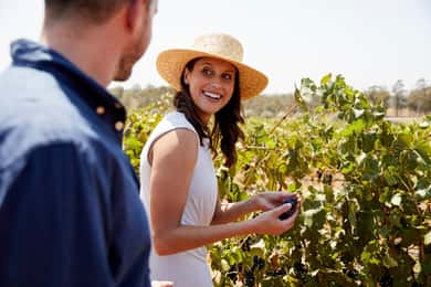 From Sydney: Luxury Hunter Valley Wine Tour with Fine Dining