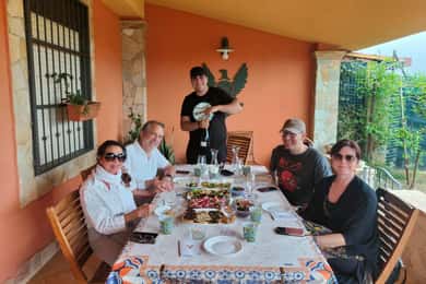 Agrigento: Cata de vinos y paseo por los viñedos.