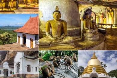 Privétour van een dag naar Dambulla: vanuit Sigiriya