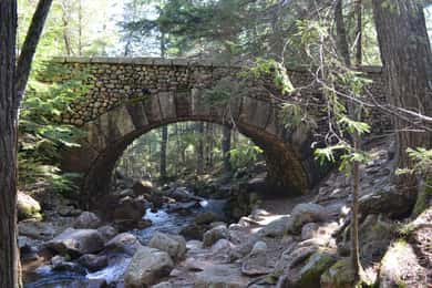 Bar Harbor: Acadia National Park Private Tour with Lunch