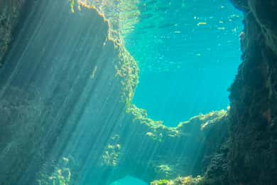 Alcudia: Dag och solnedgång, havsgrottor och snorkling med båt
