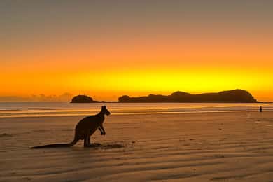 Mackay: 2-Day Adventure Package w/Accomm, Transfers & Tours
