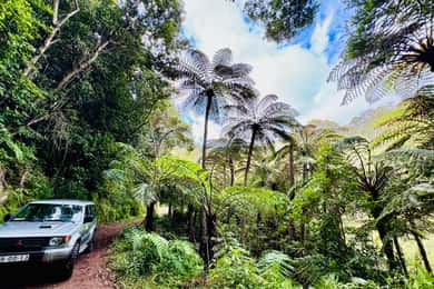 Funchal: 4x4 Jeep Trip to the East and Northeast of Madeira