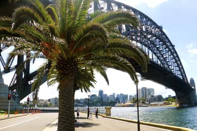 Sydney: Halvdagsutflykt i staden
