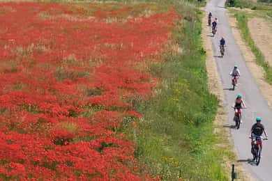 S.Miniato e-bike tour and aperitif (optional yoga at sunset)