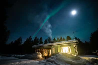 Life in Bearlands - Finnish Lifestyle and Nature Tour