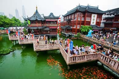 Visite privée de 8 heures de la ville de Shanghai avec un guide parlant allemand
