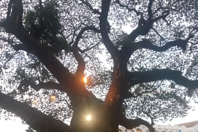 Intramuros-tur (mörk)