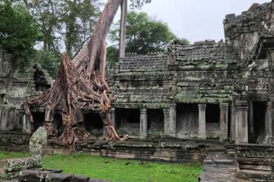Phnom Penh Battambang Siem Reap Angkor Wat 6 day return tour