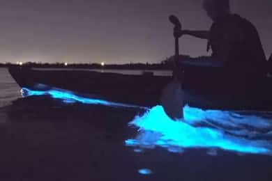 Eastsound: Excursão de caiaque bioluminescente na Ilha Orcas