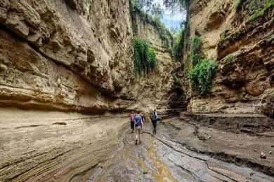 Hells Gate National Park & Lake Naivasha Boat Ride