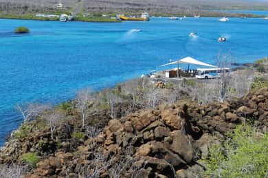 Galapagos Islands - Santa Cruz - 4 days all inclusive