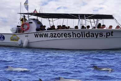Whale watching