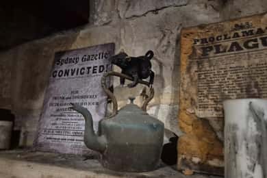 Phantom Pursuit: Sydney Rocks Investigation Tour