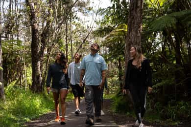 Volcano Explorer Tour
