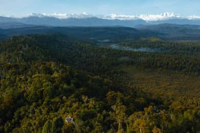 Franz Josef: Half-Day Guided Tour to Okarito