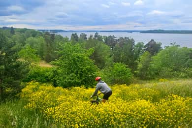 Stockholm: Fat Bike Forest Adventure with Lunch and Sauna