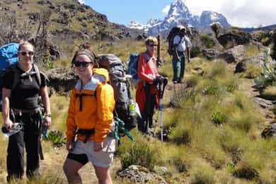 From Nairobi: Mount Kenya National Park Hike with Lunch
