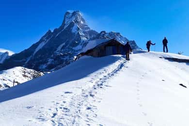 Desde Pokhara: Trekking de 4 días al campamento base del Mardi Himal