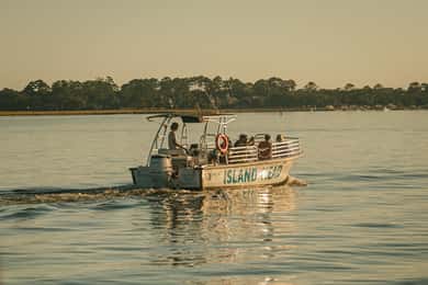 Hilton Head Island: cruzeiro com golfinhos e passeio pela natureza