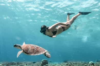 From Bali: Private Gili Islands Snorkeling All-Inclusive