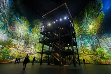 360° Panorama Amazonia Indgangsbillet