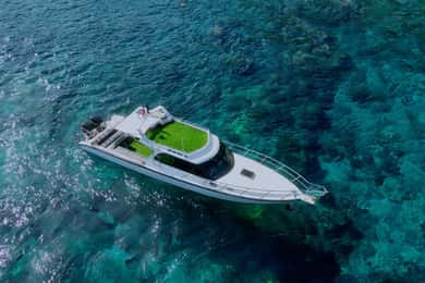 From Bali: Nusa Penida Private Snorkeling Tour with Lunch