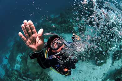 Southpoint Divers: Excursión vespertina de buceo en arrecifes