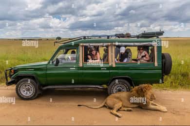 Chobe day trip from Victoria Falls- 06:30am to 18:30 hours