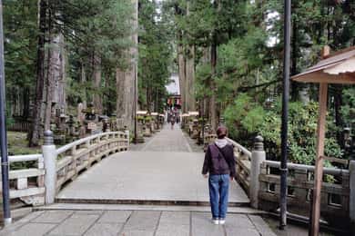 Koyasan: All the Highlights of Koyasan with Special Guide 4h