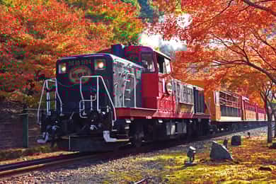 Kyoto Sagano Romantic Train in Arashiyama Bus Tour
