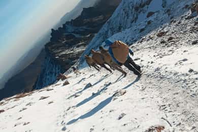 4-Day Mount Meru Climbing Tour-Tanzania (Departing - Arusha)