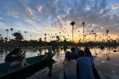 Sunset Boat Ride from Puerto Maldonado: 3 Hours of Magic!