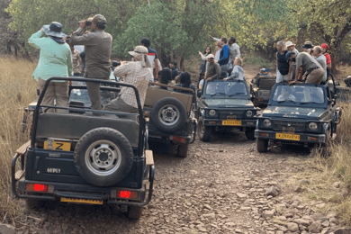New Delhi: Jim Corbett National Park Safari (Tiger) Spotting